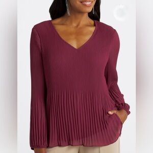 NWOT Fortune + Ivy Deep Red Pleated Blouse